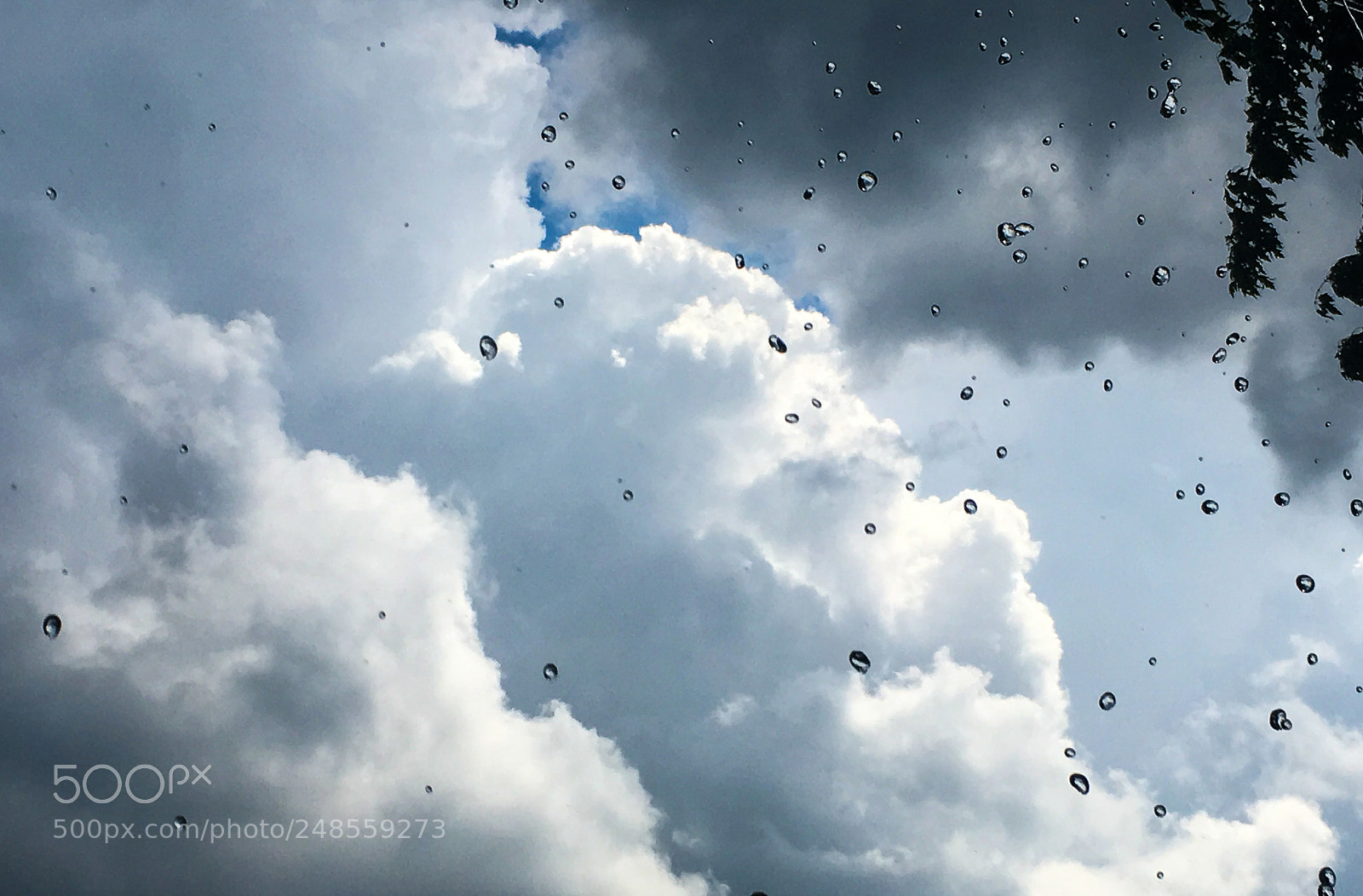 Apple iPhone 6s sample photo. Rain photography