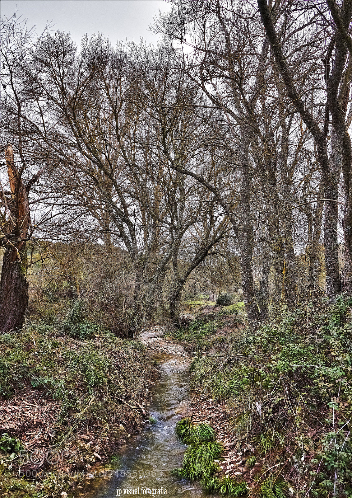 Sony a7 II sample photo. Matices photography