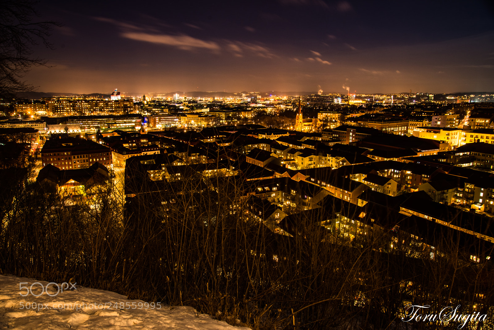 Nikon D610 sample photo. From the hill photography