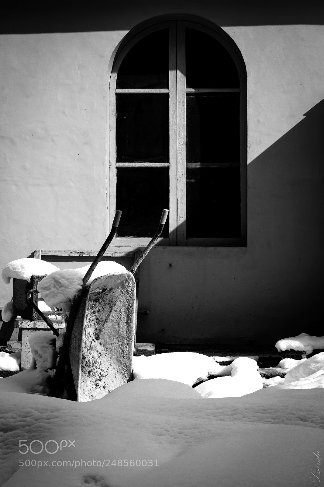 Canon EOS 700D (EOS Rebel T5i / EOS Kiss X7i) sample photo. Keep calm and snow photography