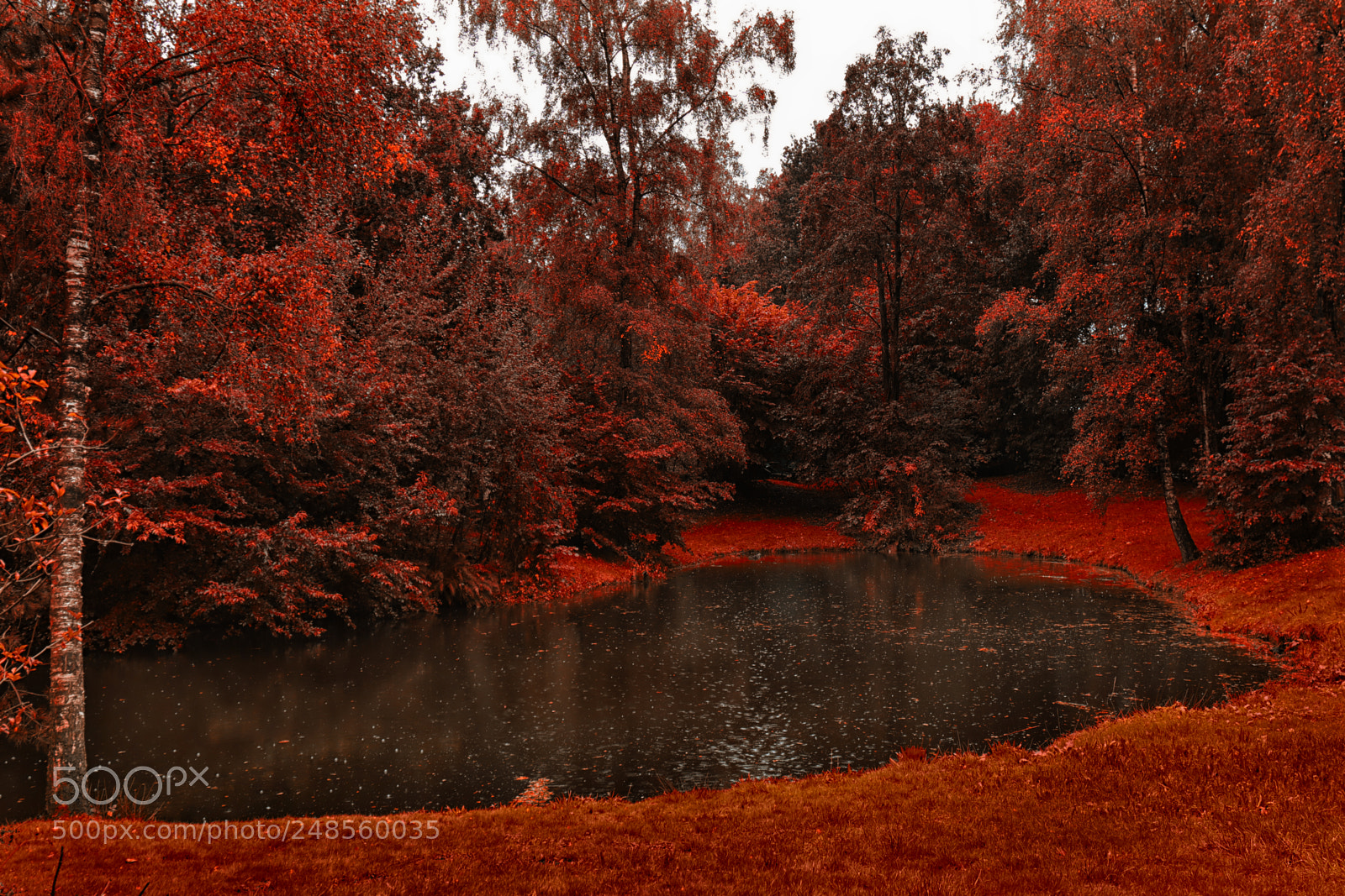 Canon EOS 7D Mark II sample photo. Secret places photography