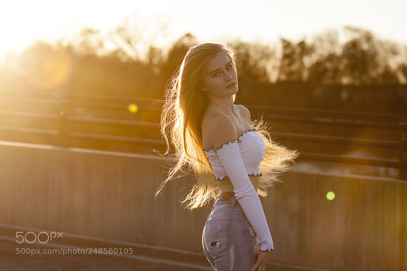 Canon EOS 50D sample photo. Aspen photography