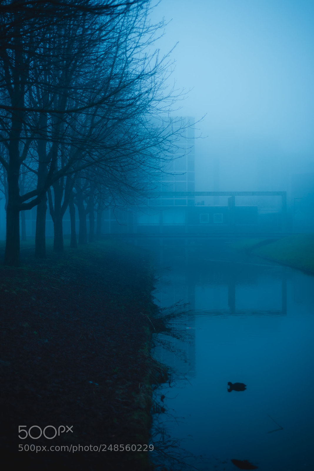 Nikon D600 sample photo. Hoofdorp , nl photography