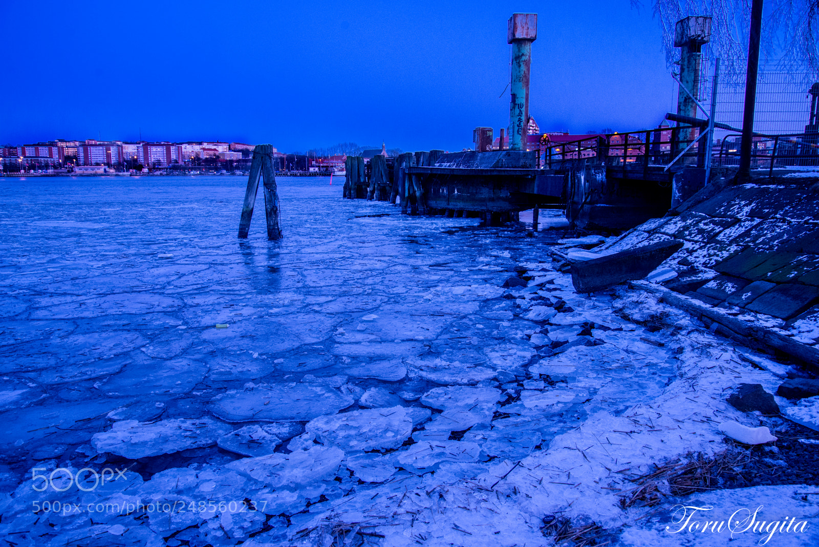 Nikon D610 sample photo. Coldness photography