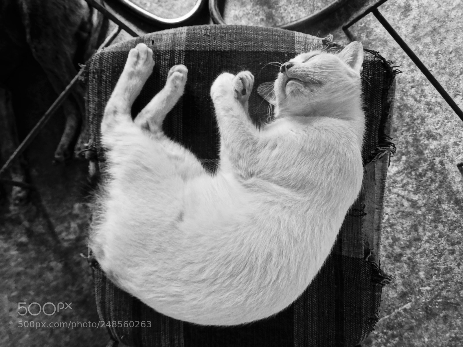 Sony Cyber-shot DSC-HX300 sample photo. Deep sleep photography