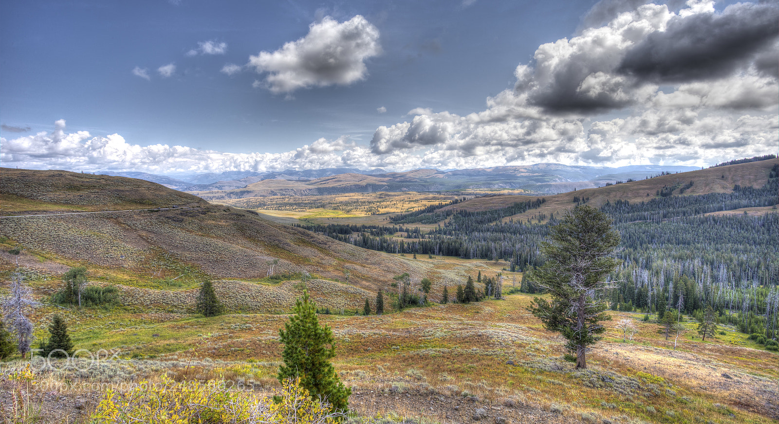 Canon EOS 6D sample photo. Grand loop rd yellowstone photography