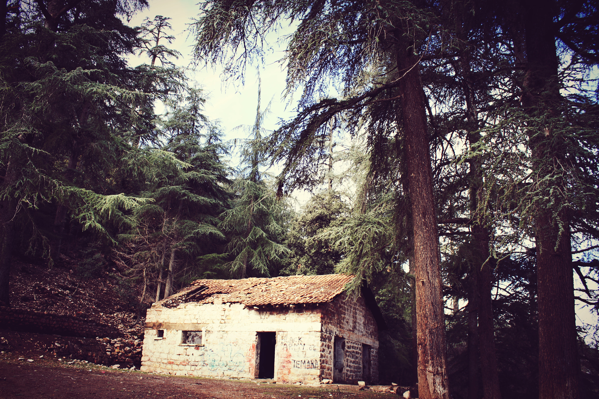 Canon EOS 7D sample photo. Trip photography