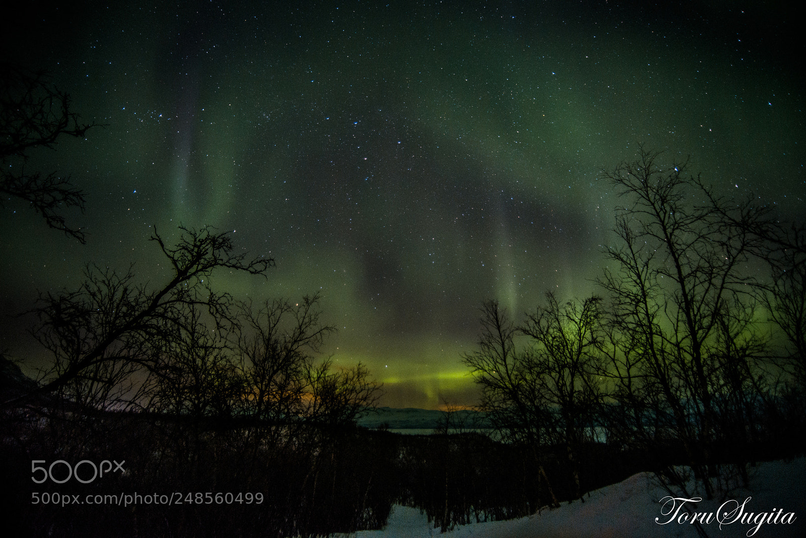 Nikon D610 sample photo. Northern lights photography