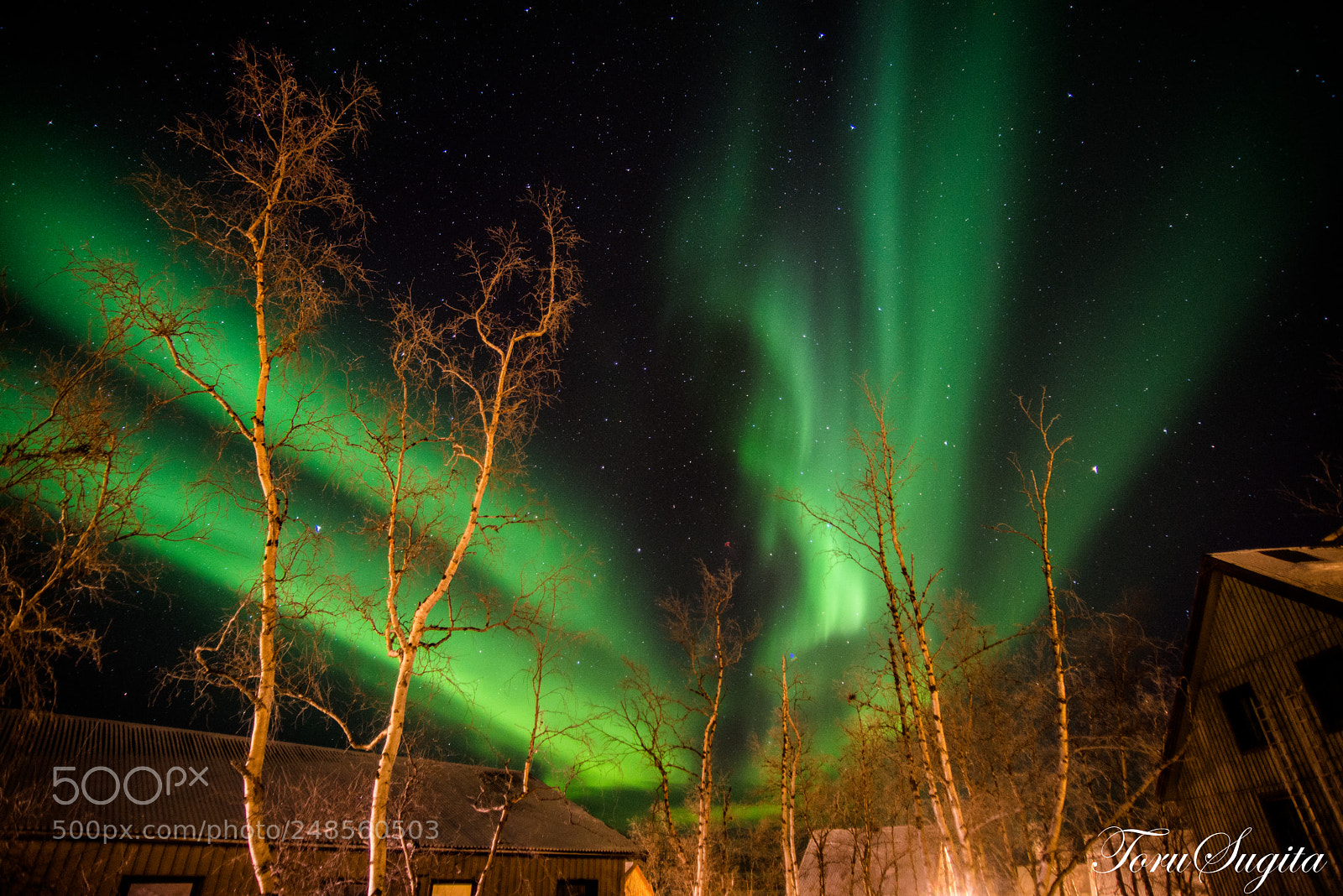 Nikon D610 sample photo. Northern lights photography