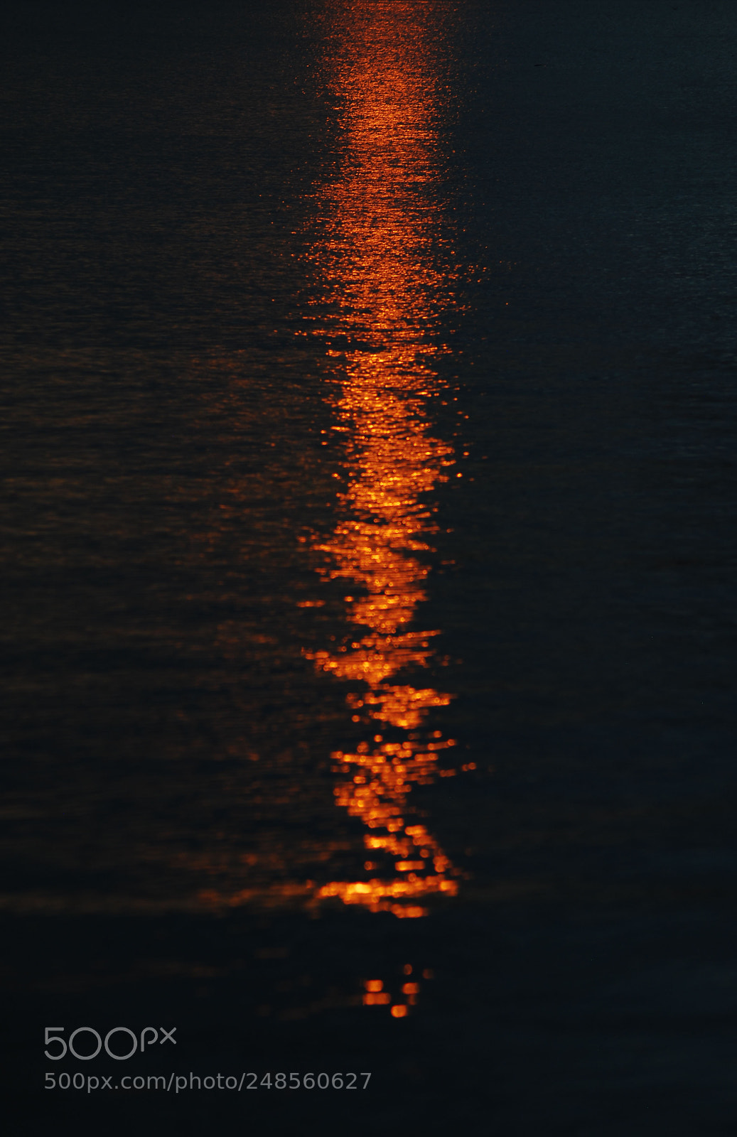 Nikon D40X sample photo. Sun goes down photography
