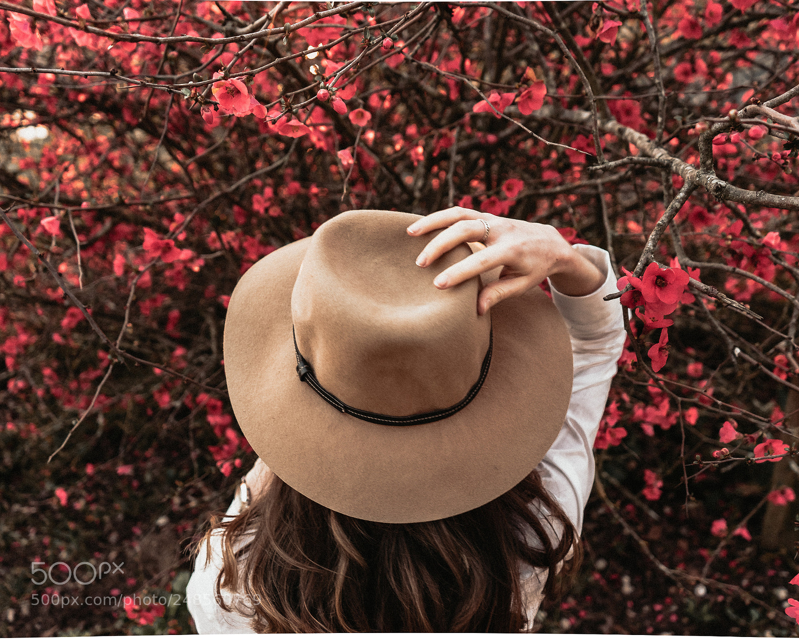 Sony a7 II sample photo. Bloom photography