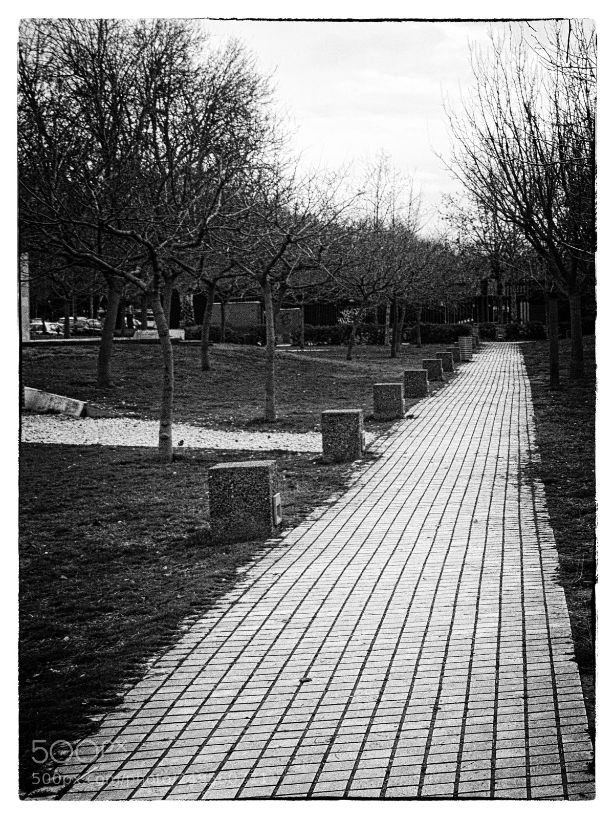 Nikon D5500 sample photo. A walk to nowhere photography