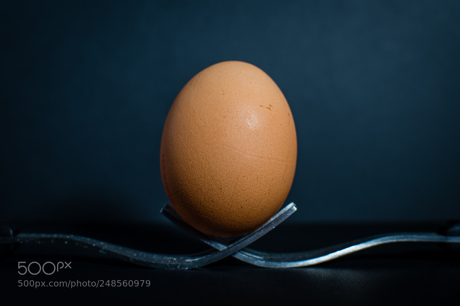 Nikon D500 sample photo. Star egg photography