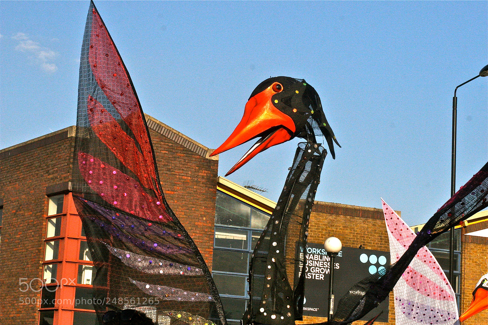 Canon EOS 30D sample photo. Angry bird photography