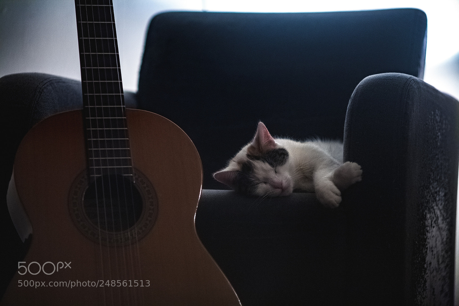 Canon EOS 5D sample photo. ~ photography
