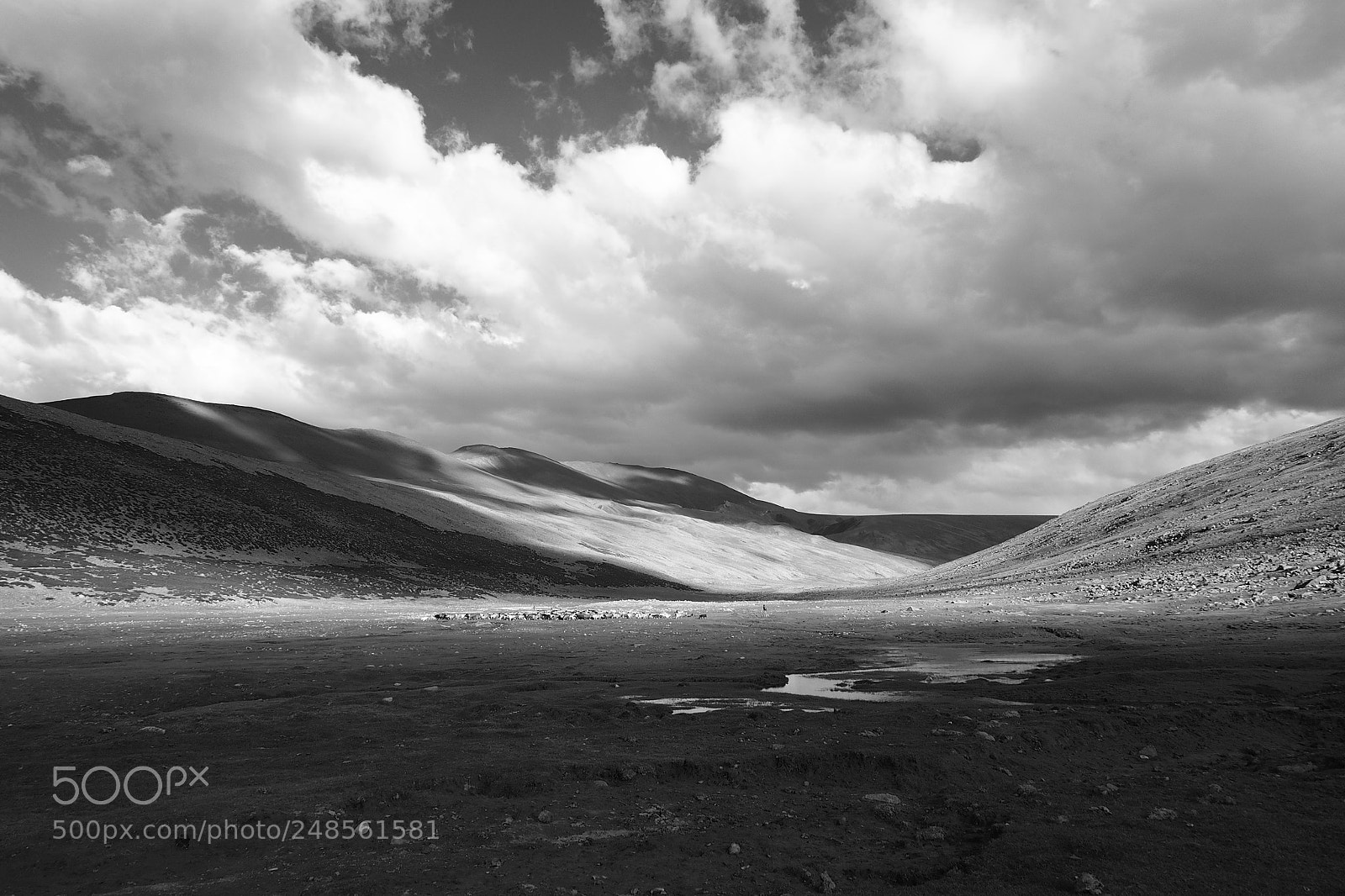 Olympus OM-D E-M5 sample photo. Marka valley, ladhak, india photography