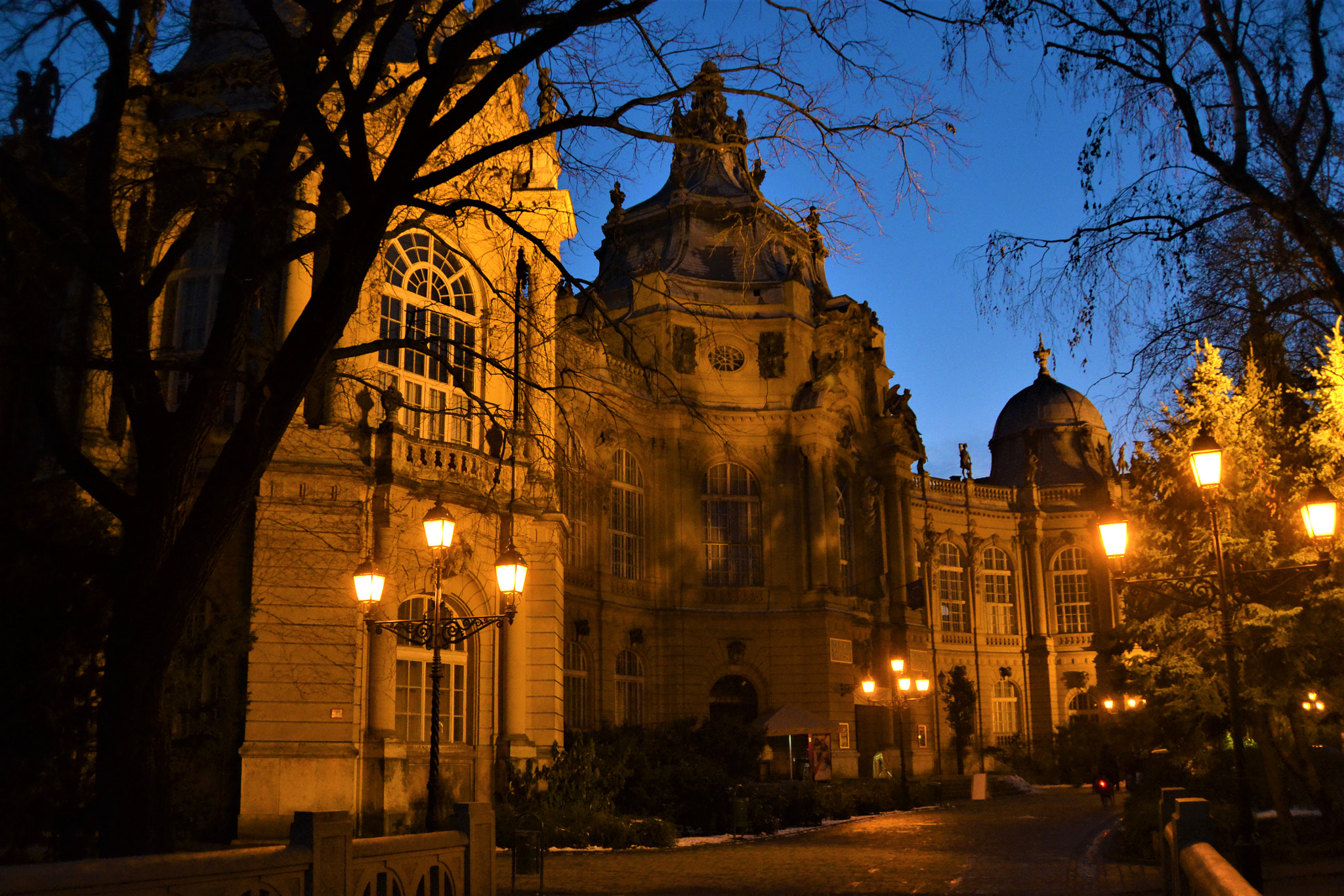 Nikon D3100 sample photo. Vajdahunyad castle photography
