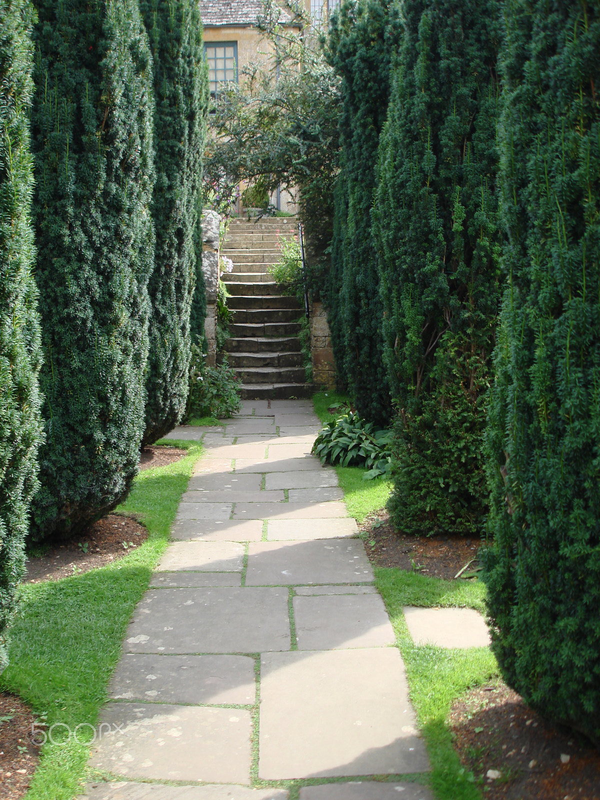 Sony DSC-W100 sample photo. Garden path photography