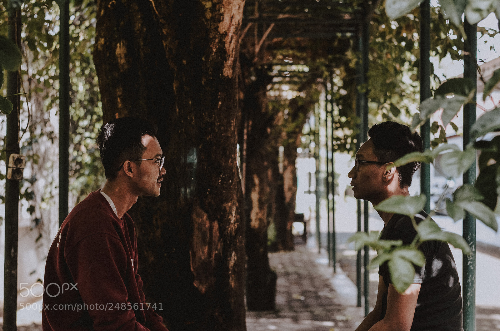 Nikon D5100 sample photo. Bertemu photography