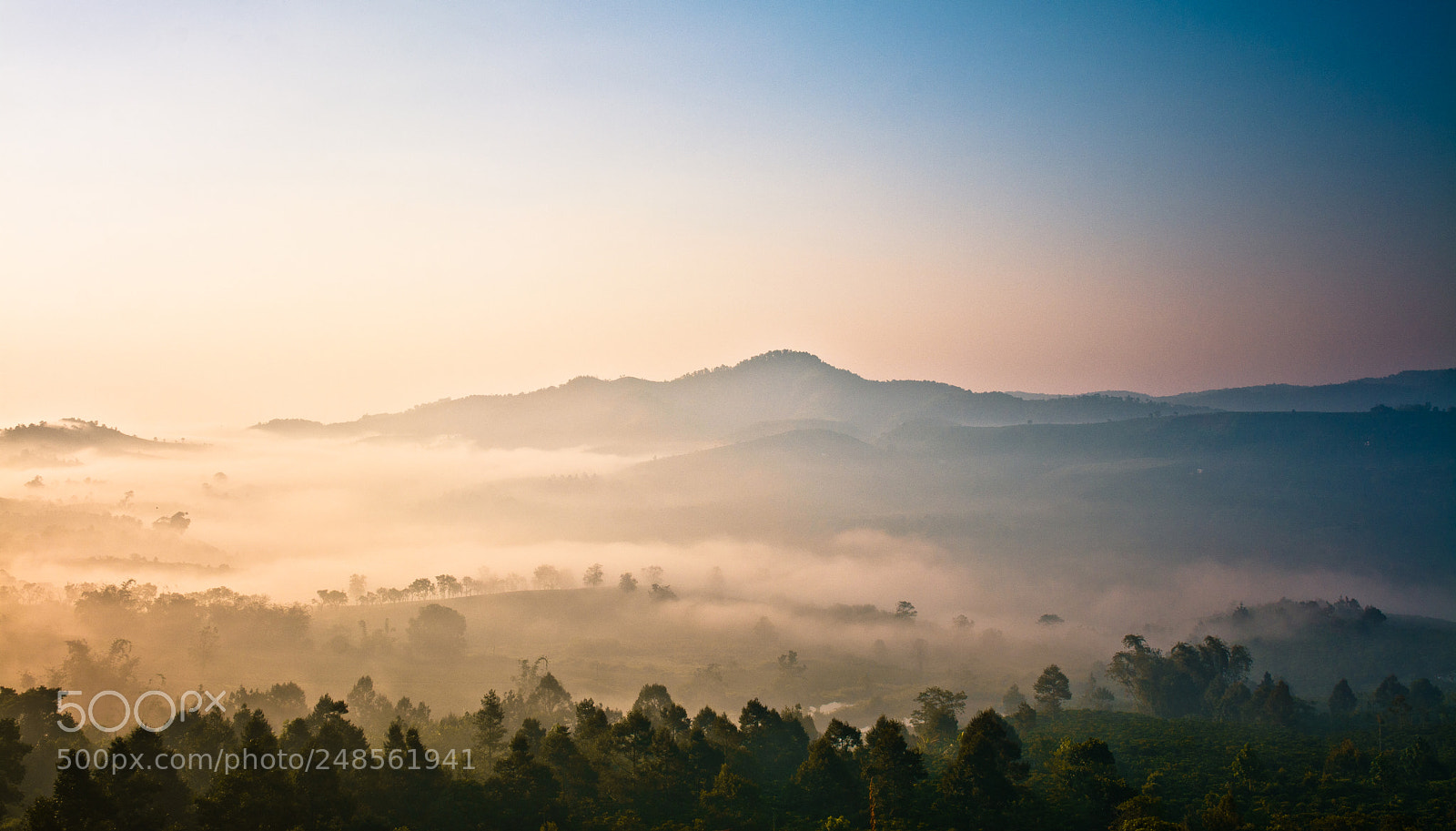 Nikon D7100 sample photo. Foggy photography