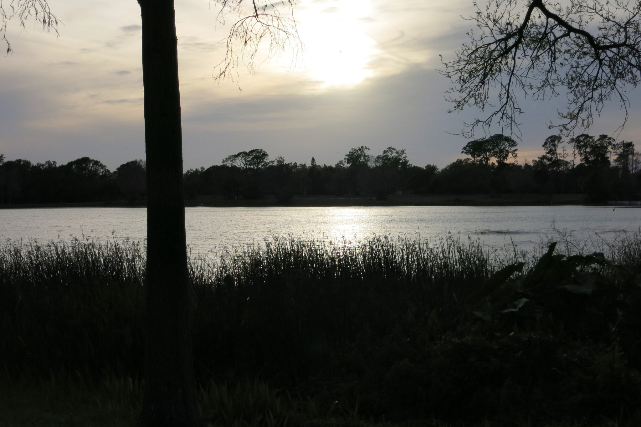 Canon PowerShot S110 sample photo. It is getting dark photography