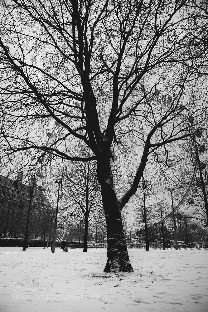 Canon EOS 5D Mark II sample photo. Snow london photography