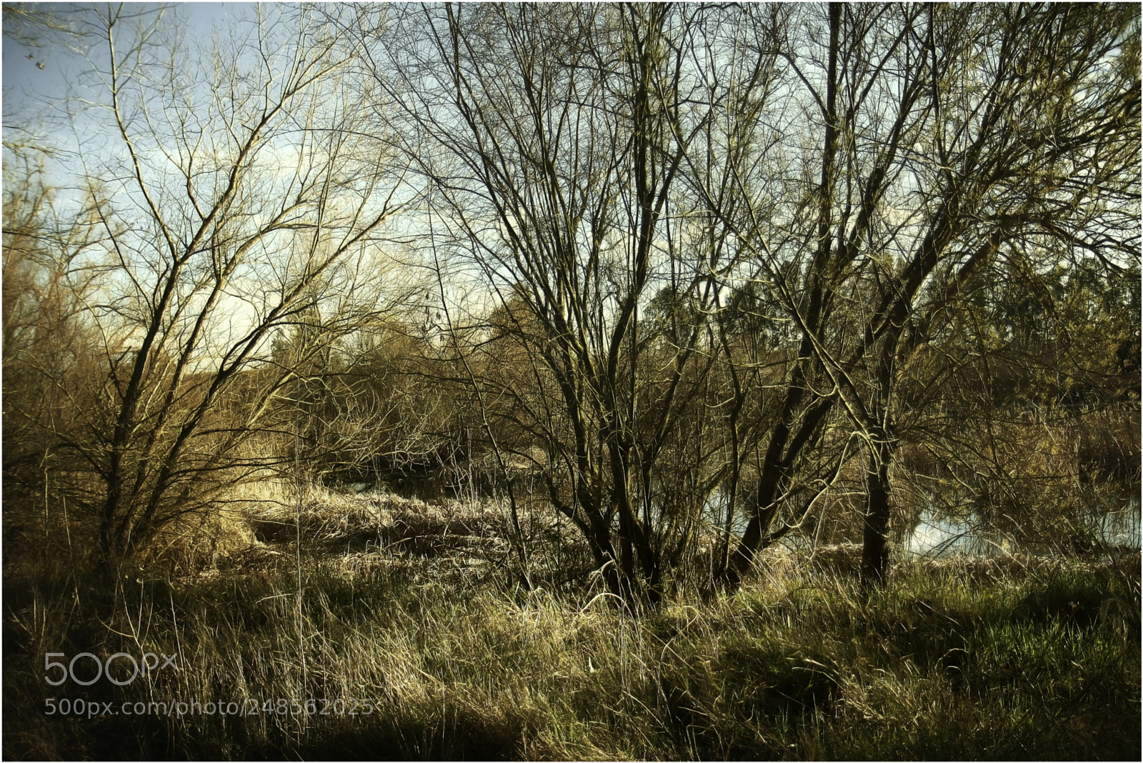 Canon EOS 1000D (EOS Digital Rebel XS / EOS Kiss F) sample photo. Down by the river # 1 photography