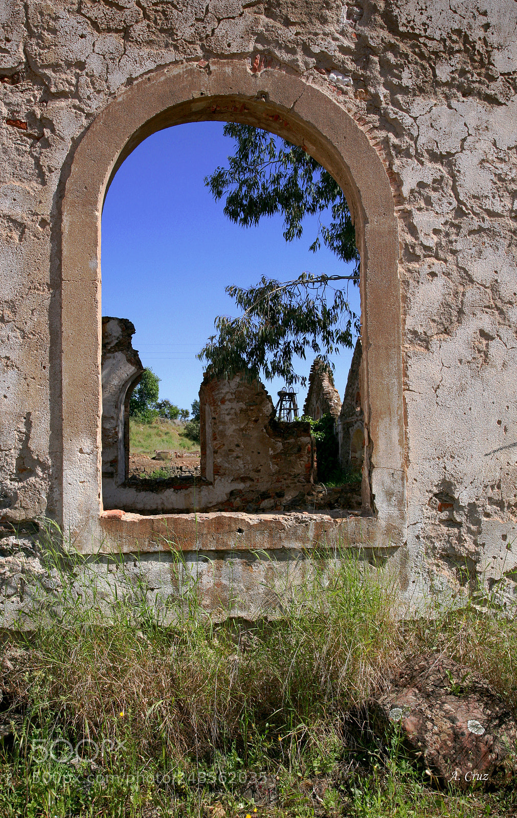 Canon EOS 5D sample photo. Looking through the window photography