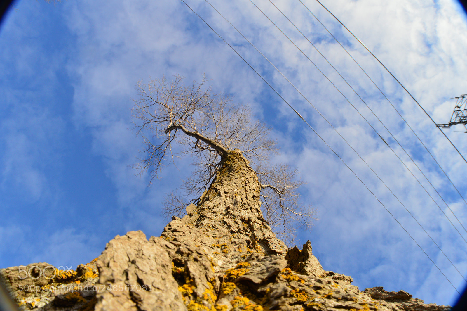 Nikon D3200 sample photo. View from below photography