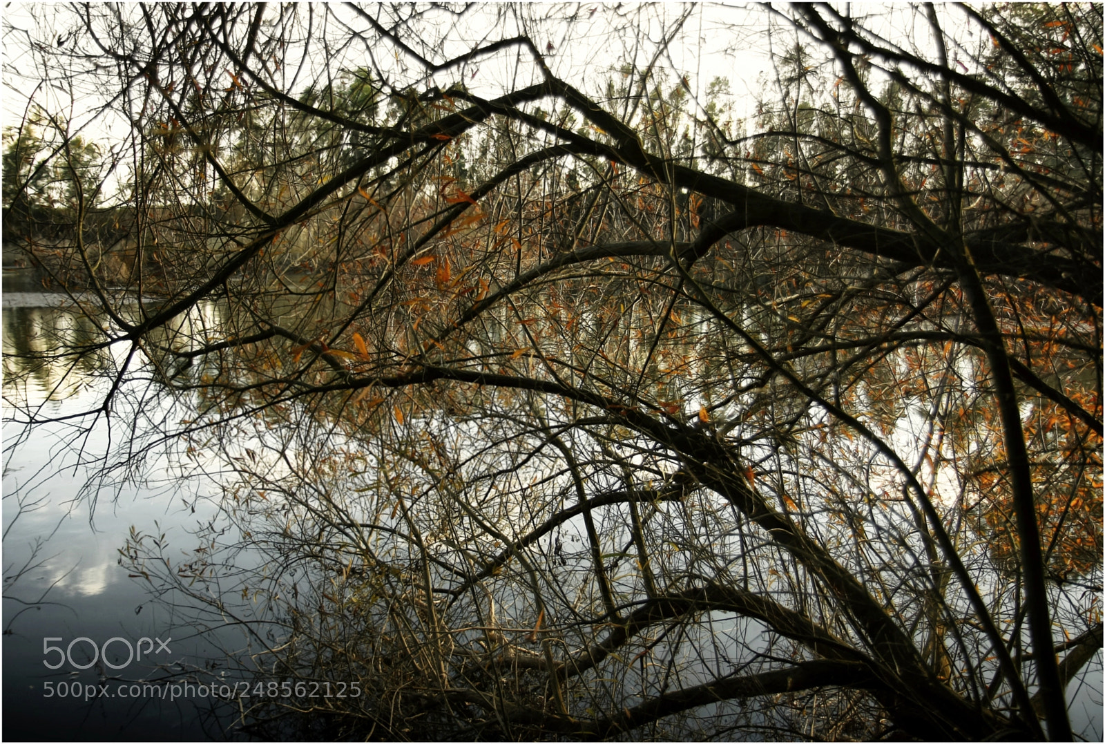 Canon EOS 1000D (EOS Digital Rebel XS / EOS Kiss F) sample photo. Down by the river #2 photography