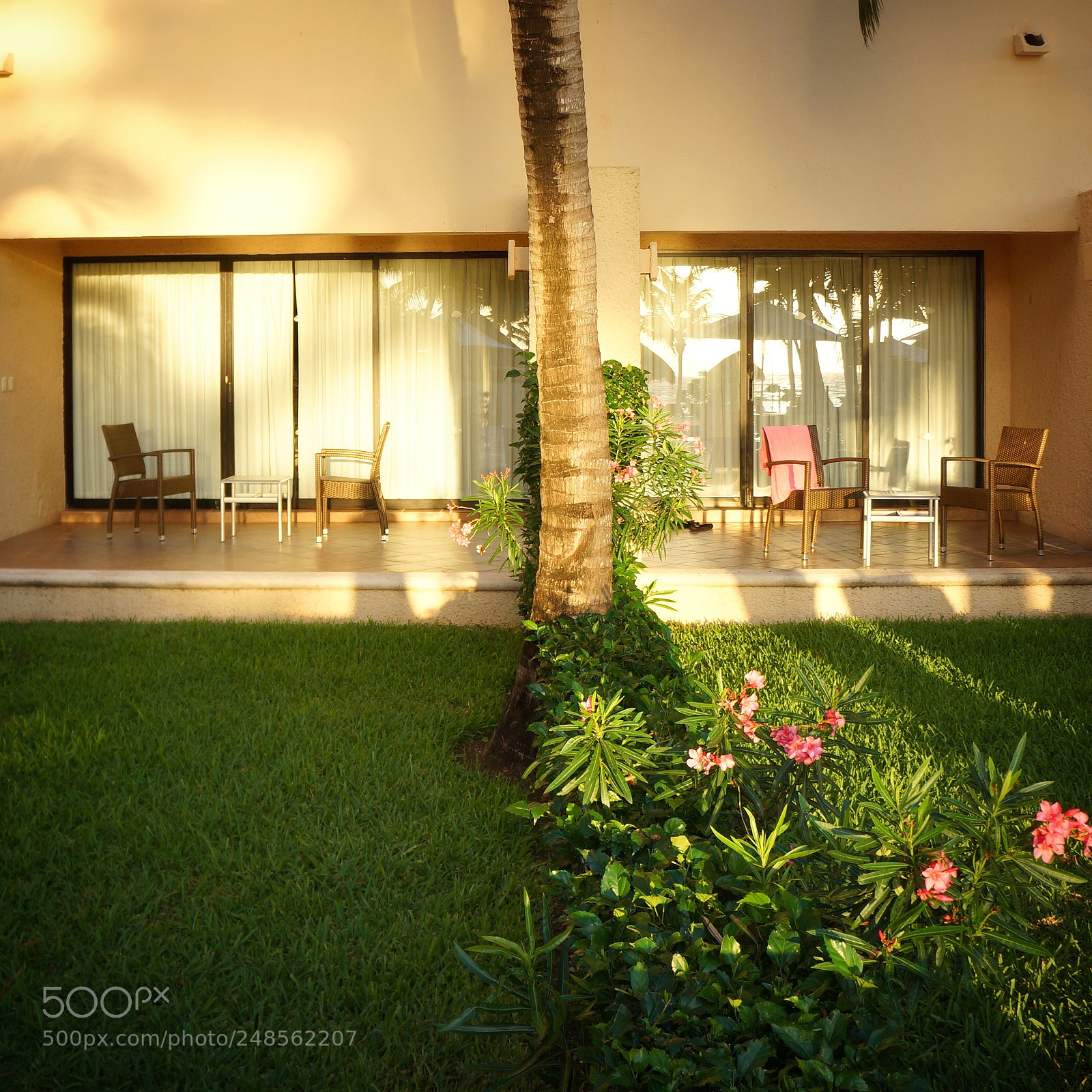 Sony Alpha NEX-7 sample photo. Morning in the tropics photography