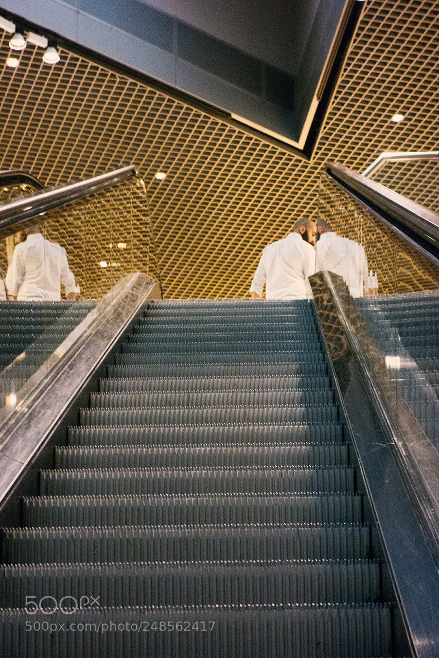 Sony Cyber-shot DSC-RX100 sample photo. Golden & grey photography