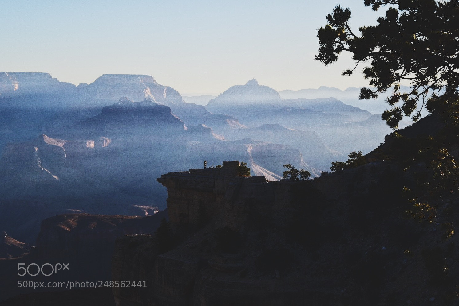 Nikon D5600 sample photo. Grand canyon photography
