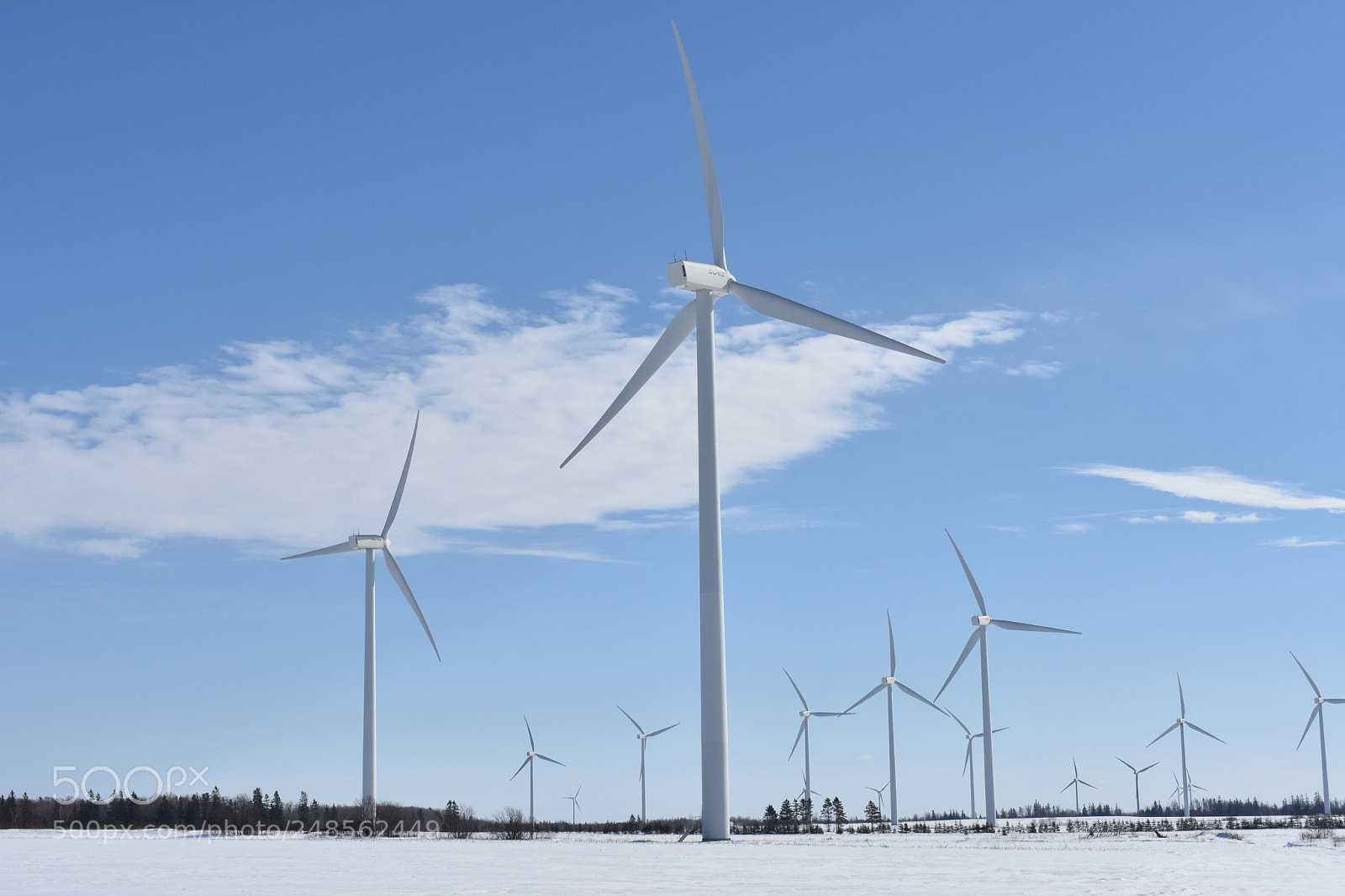 Nikon D3400 sample photo. Wind farm photography