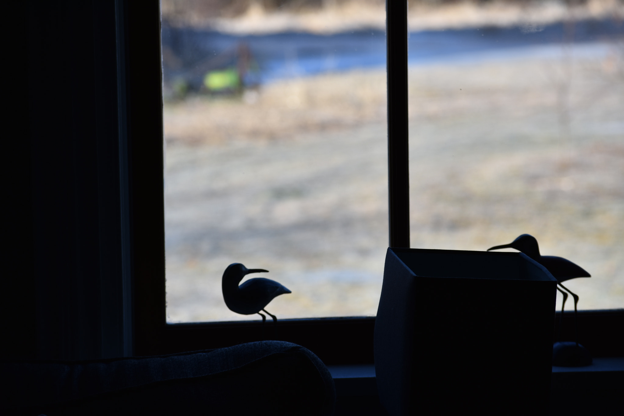 Nikon D3400 sample photo. Birds photography