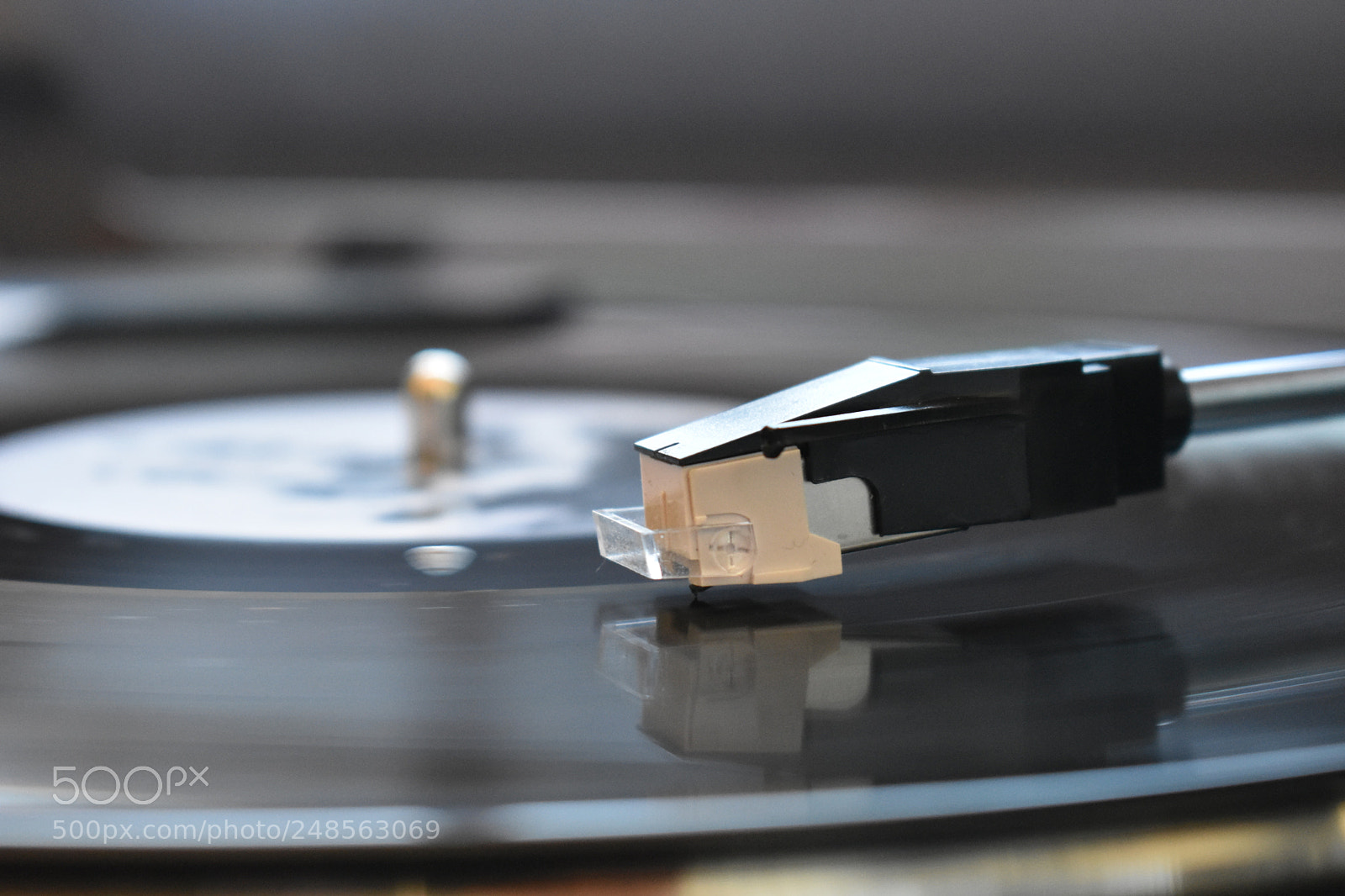 Nikon D3400 sample photo. Gorillaz photography