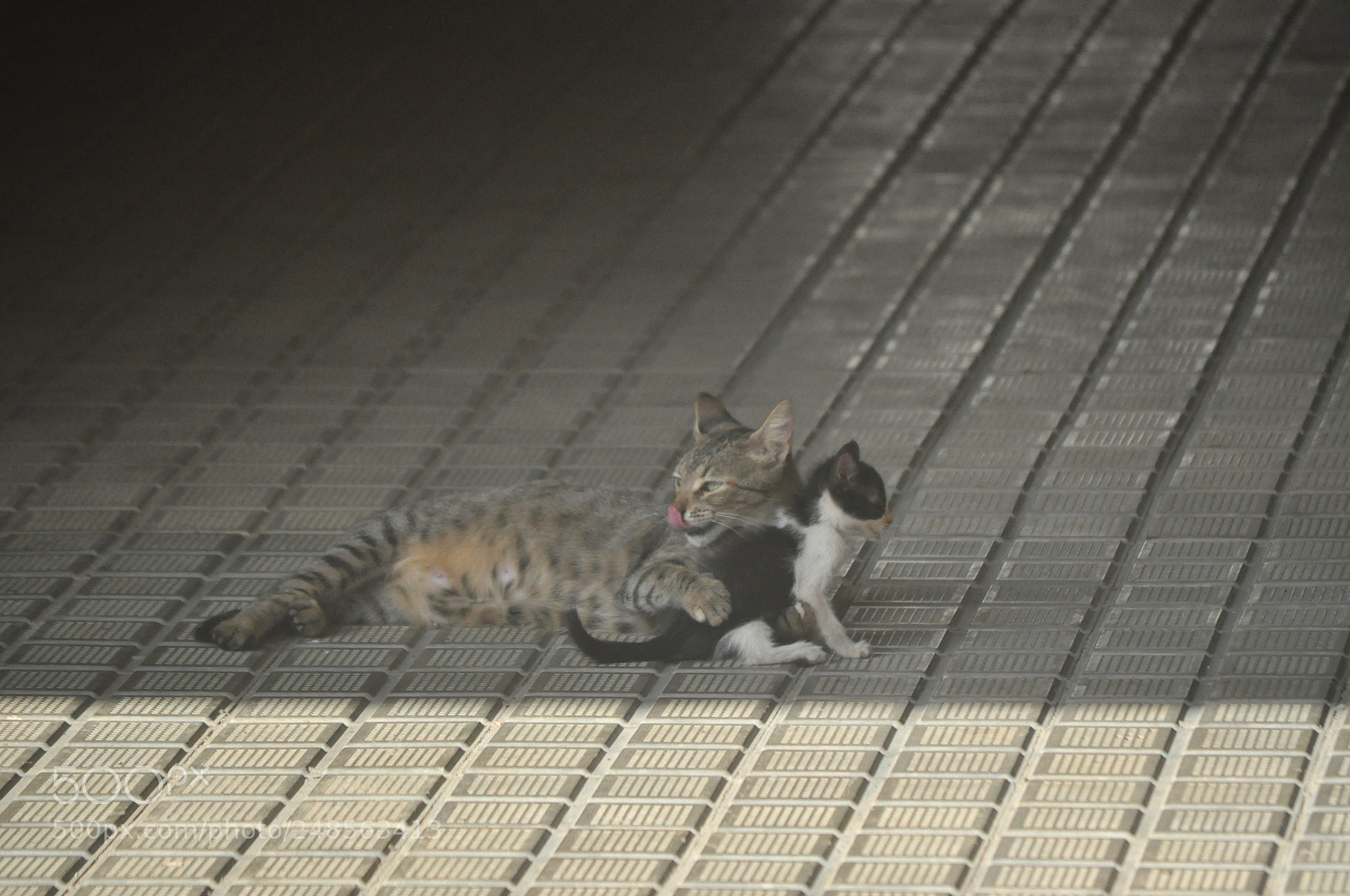 Nikon D5000 sample photo. Mi mama...(2)... photography