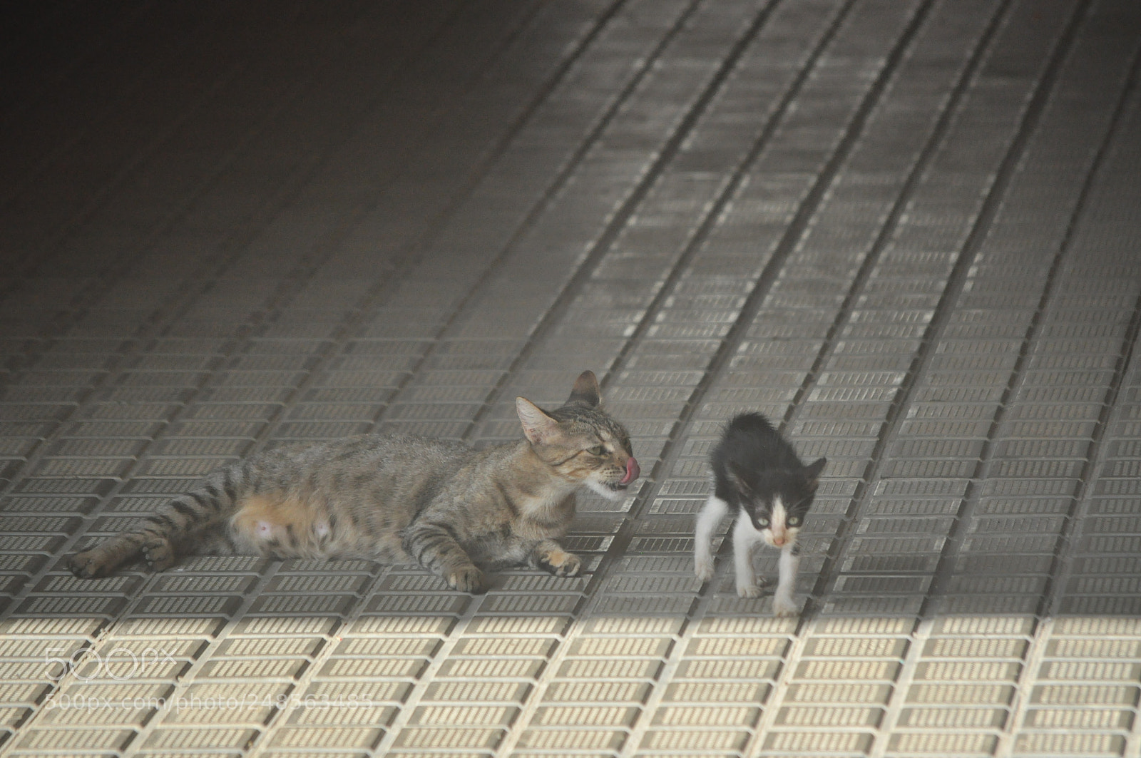 Nikon D5000 sample photo. Mi mama (3)... photography