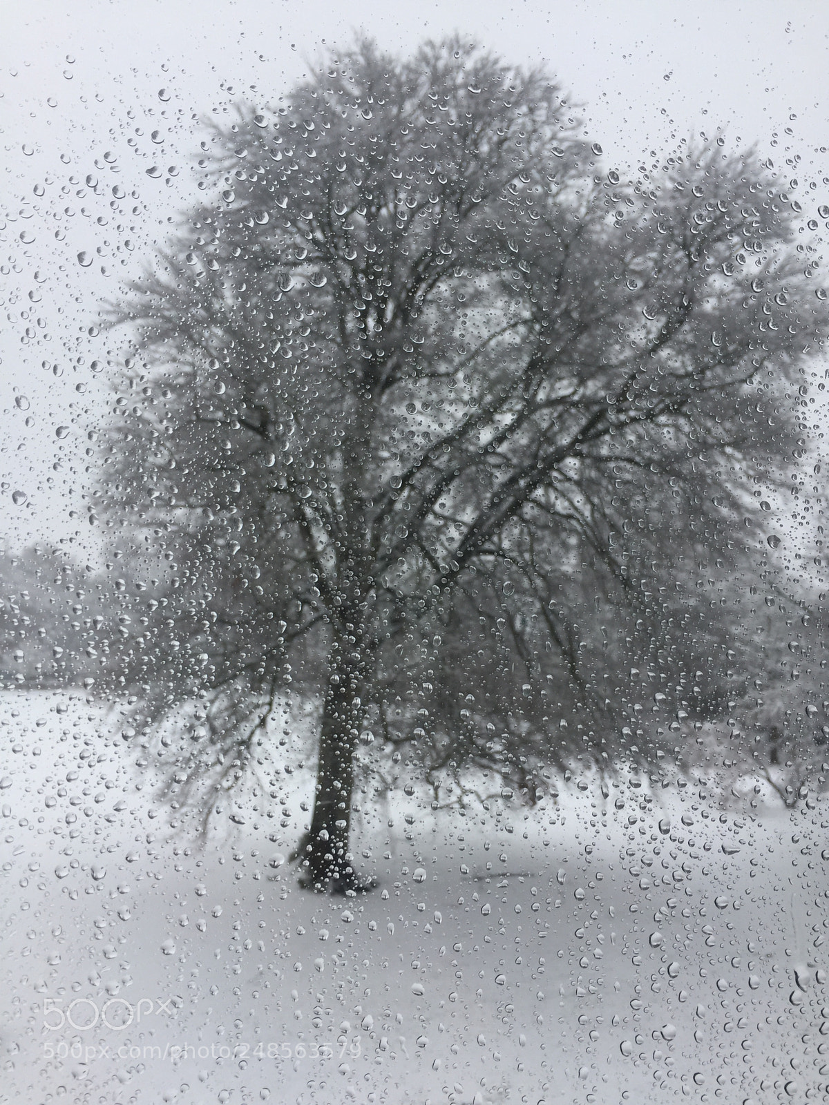 Apple iPhone 6 sample photo. Morning snow photography