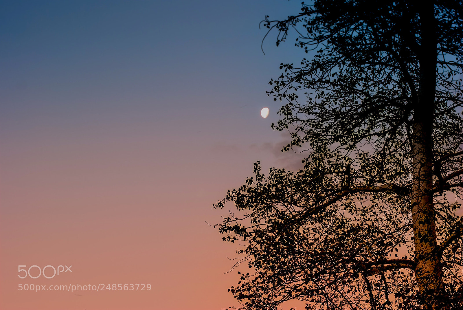 Nikon D3000 sample photo. Sunset photography