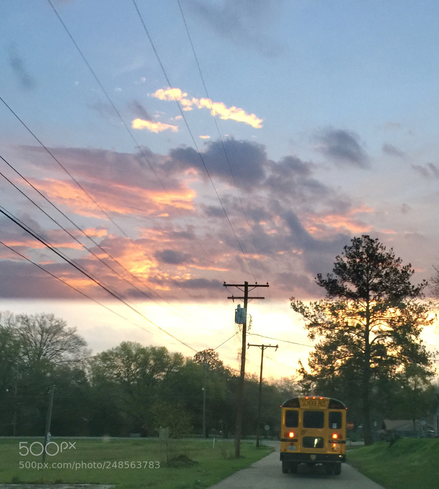 Apple iPhone 6 Plus sample photo. Untitled photography