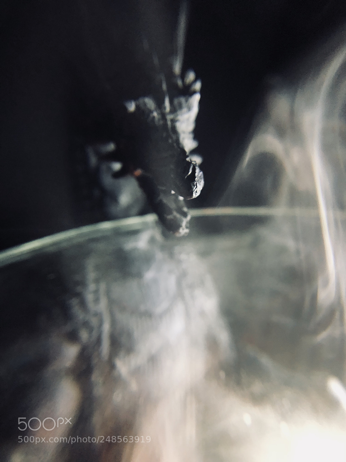 Apple iPhone 8 Plus sample photo. Working on my smoke photography