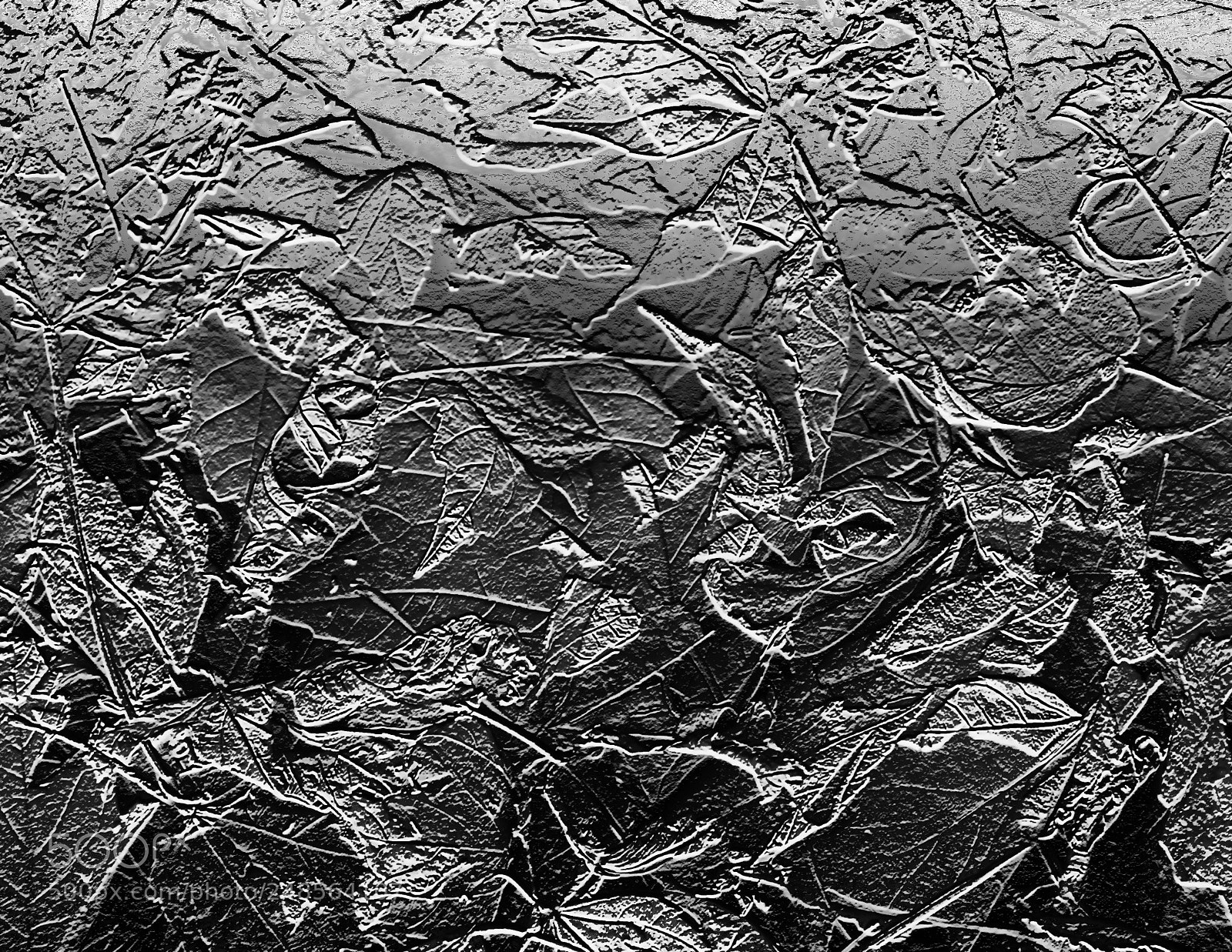 Canon EOS 760D (EOS Rebel T6s / EOS 8000D) sample photo. Bas relief of fallen photography