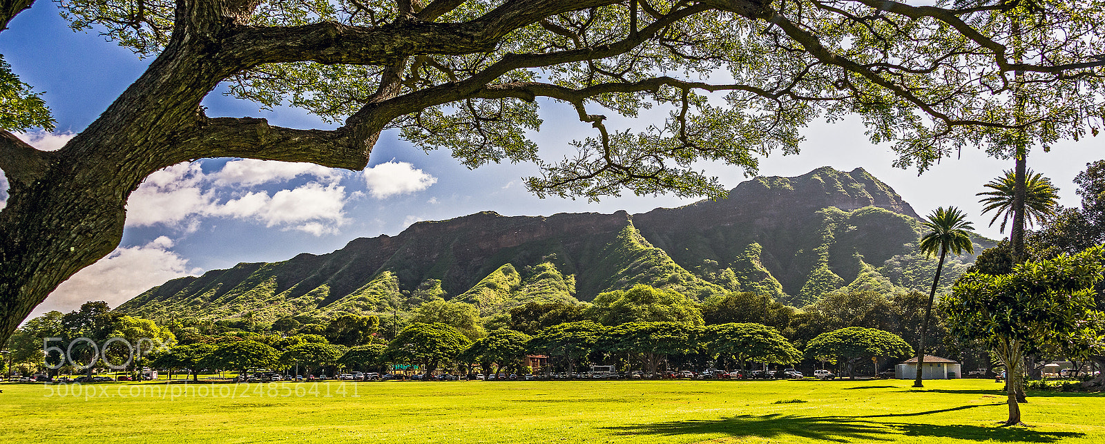 Nikon D610 sample photo. Diamond head... a waikiki photography