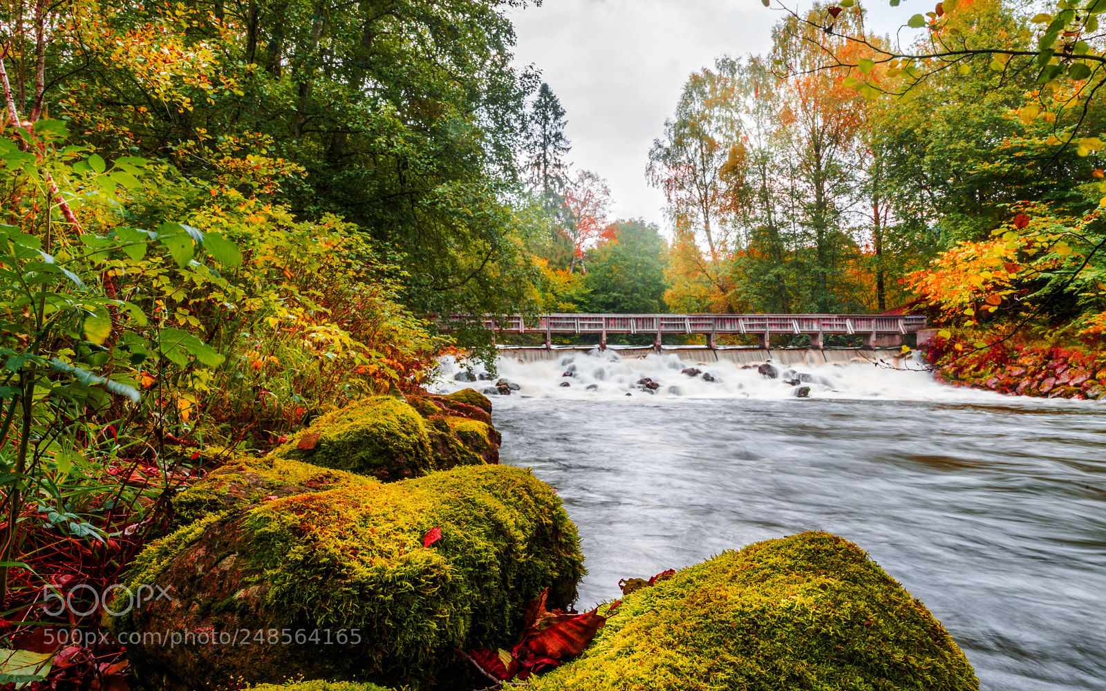 Nikon D800 sample photo. River akerselva photography
