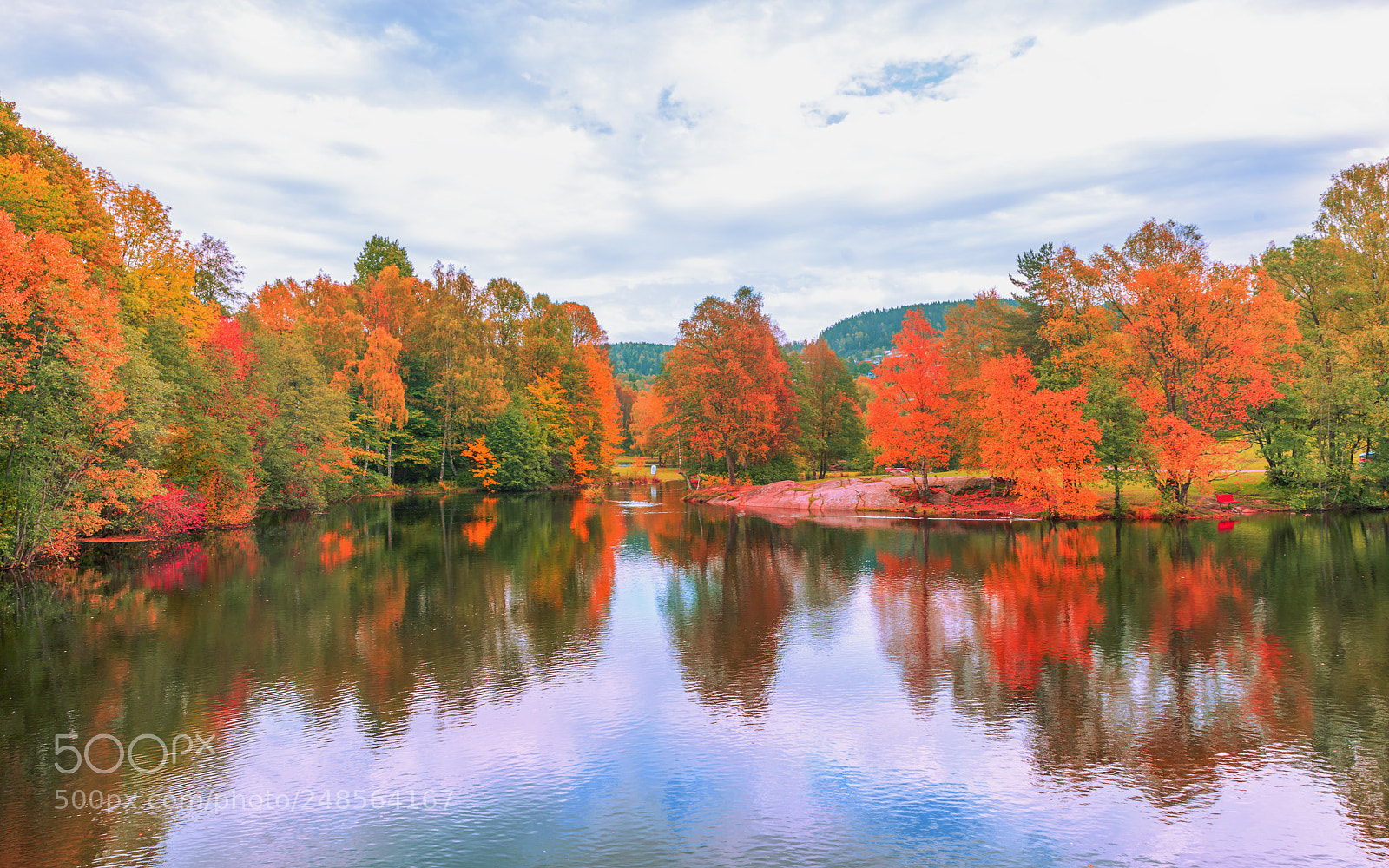 Nikon D800 sample photo. Fall colors photography