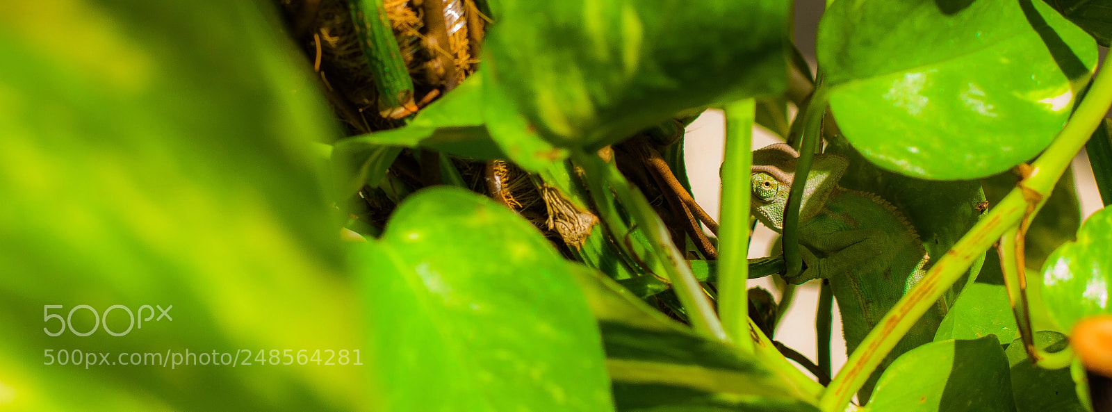 Canon EOS 7D sample photo. Get a way !! photography