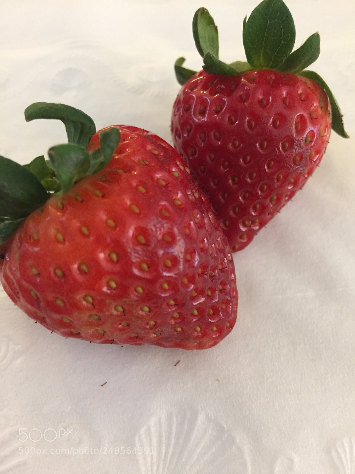 Apple iPhone 6 sample photo. Fresh garden strawberries photography