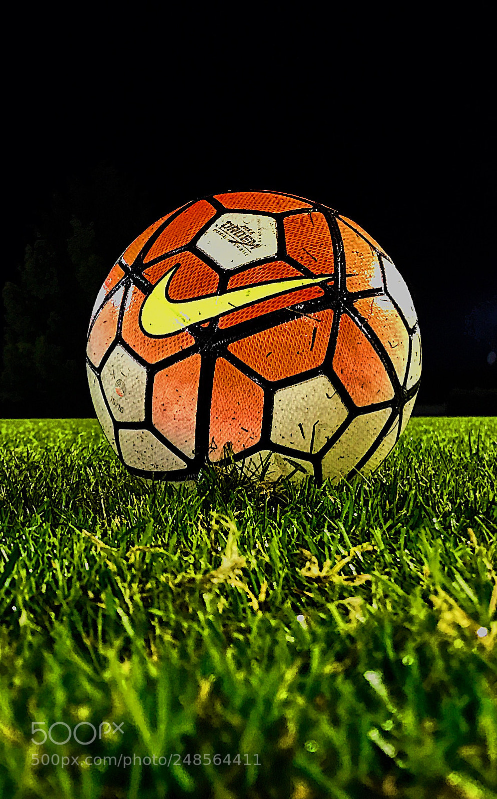Apple iPhone 7 sample photo. The beautiful game catched photography