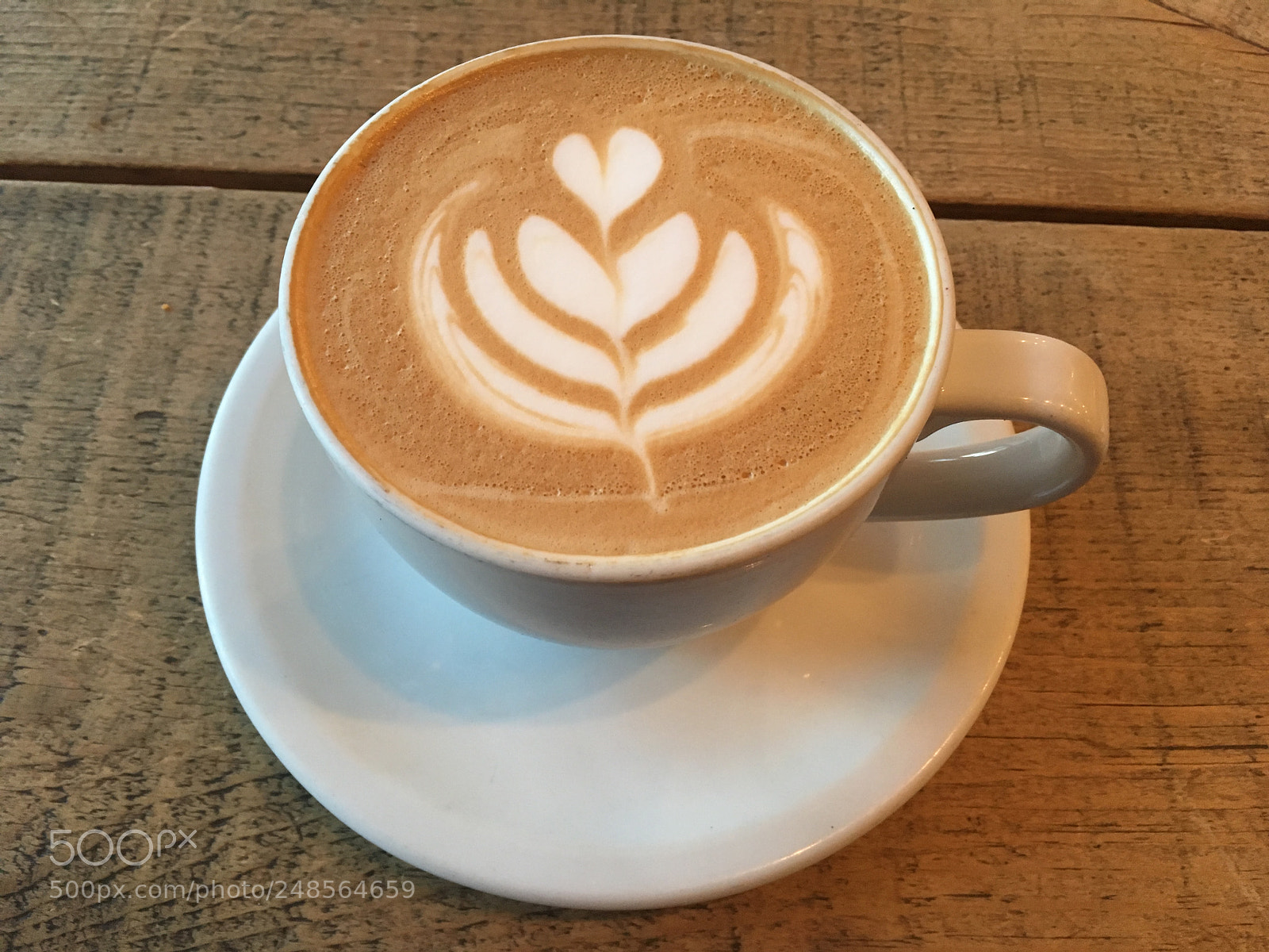 Apple iPhone SE sample photo. Latte photography